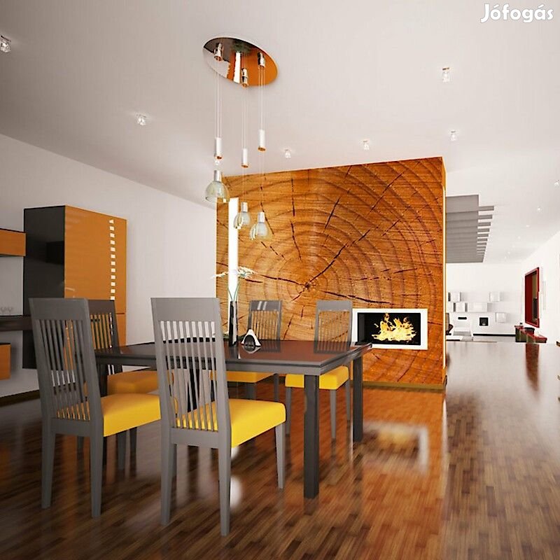 Fotótapéta - Éves gyűrűk egy fatörzs