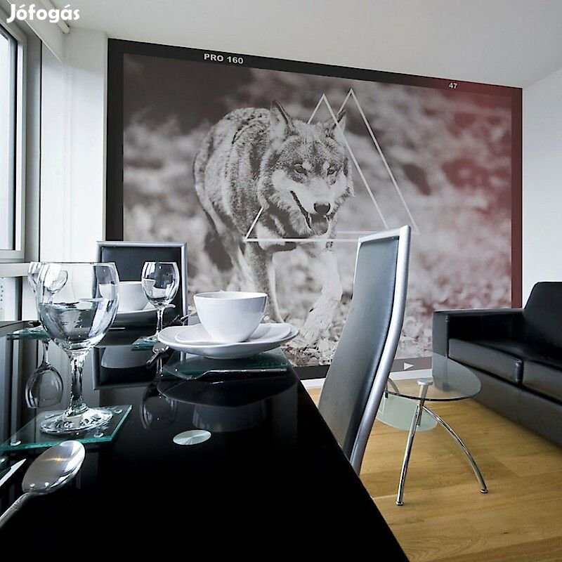Fotótapéta - Farkas