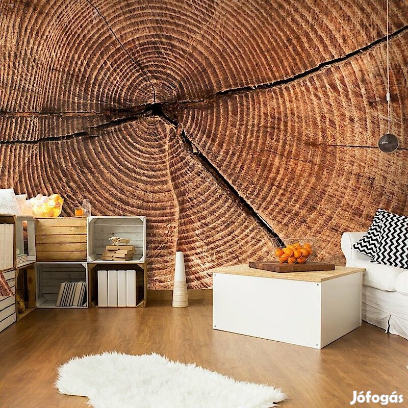 Fotótapéta - Fatörzs keresztmetszet