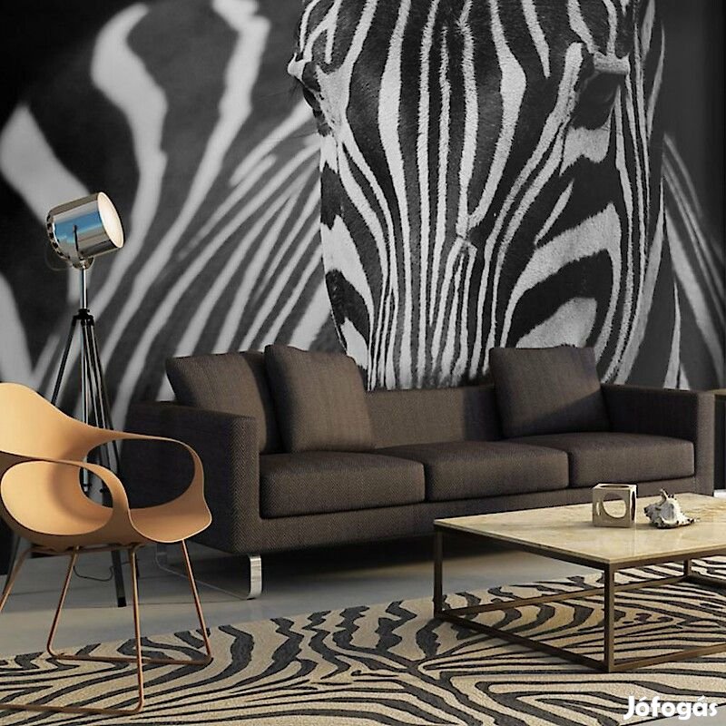 Fotótapéta - Fehér, fekete csíkokkal