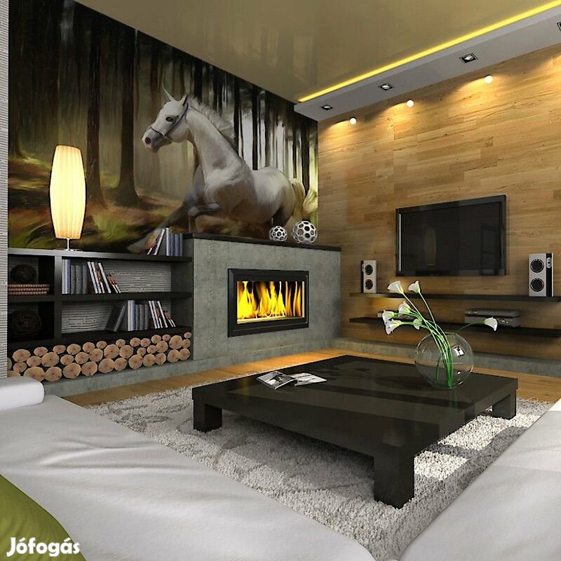 Fotótapéta - Fehér hajsza