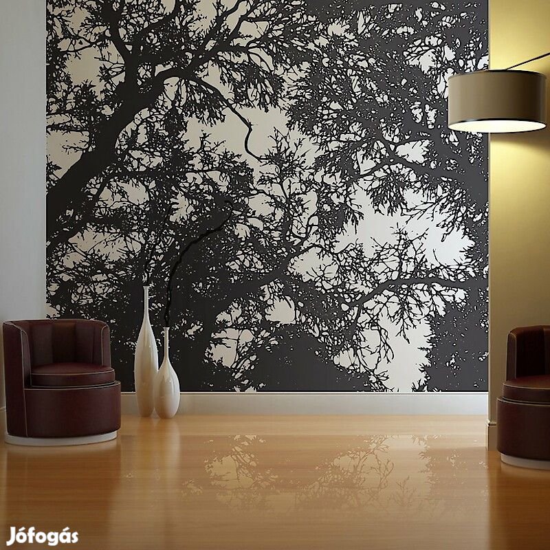 Fotótapéta - Fekete, fehér erdő