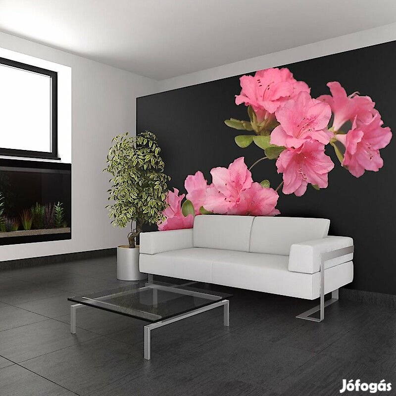 Fotótapéta - Feketeségben