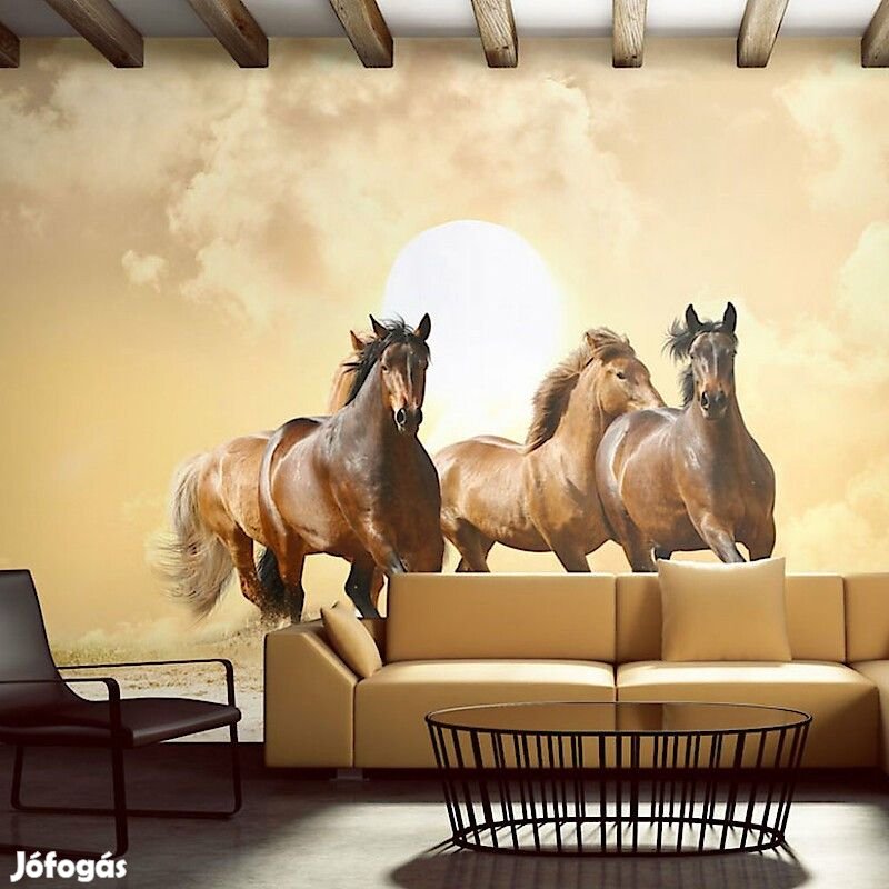Fotótapéta - Futás lovak