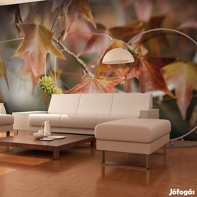 Fotótapéta - Gesztenye fák