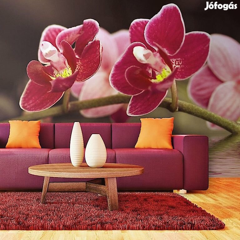 Fotótapéta - Gyönyörű orchidea virágok a vízben