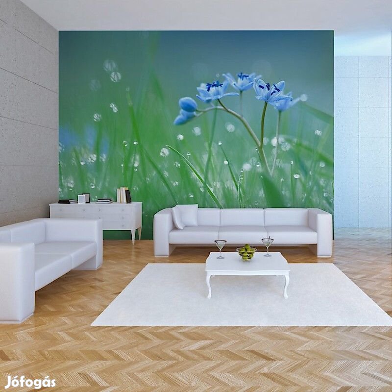 Fotótapéta - Hajnali ébredés