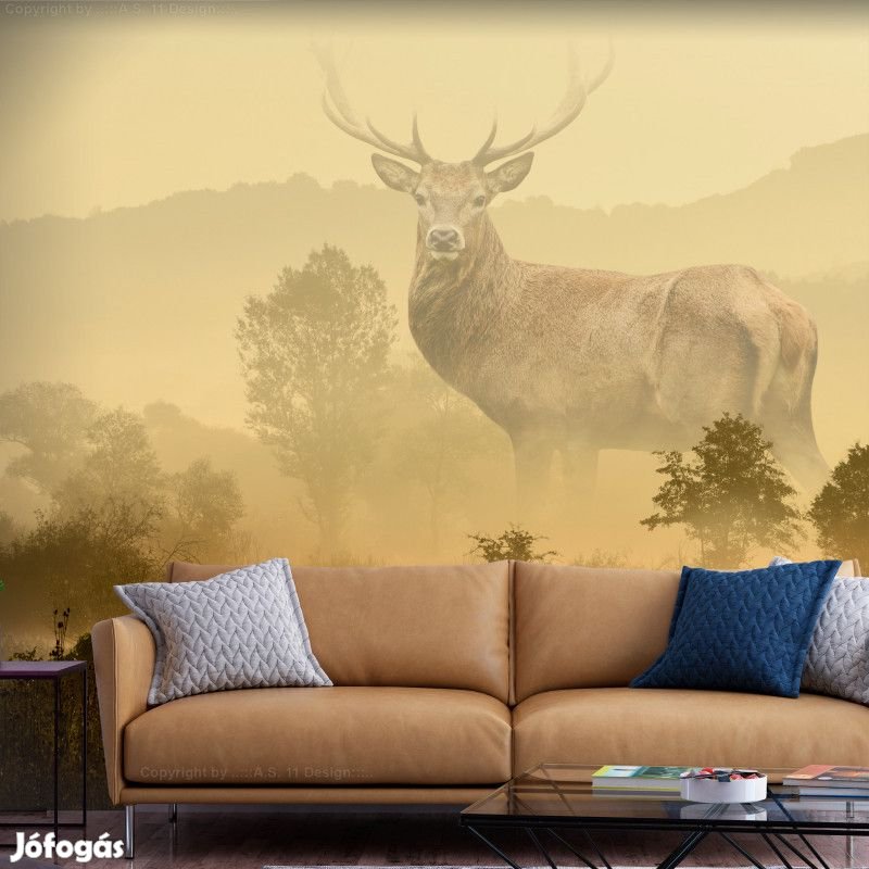 Fotótapéta - Határozott tekintet 3