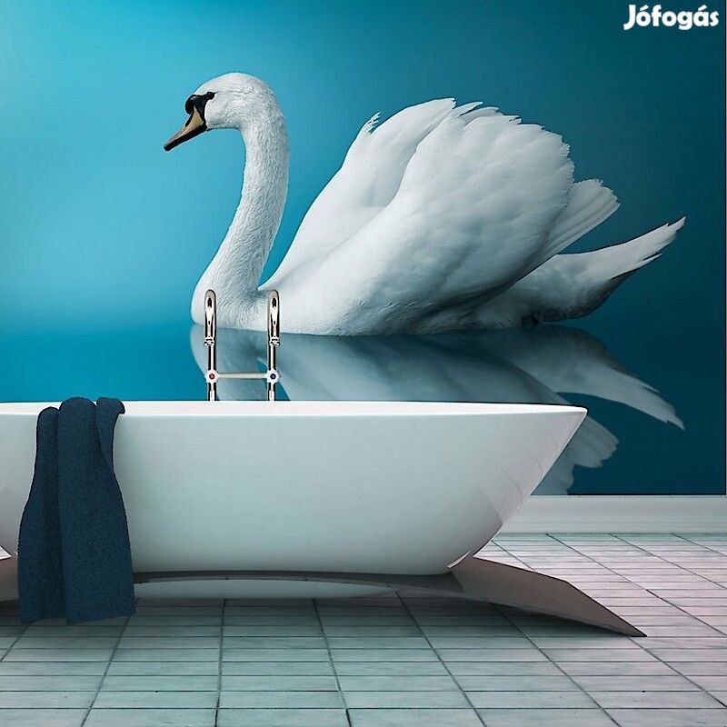 Fotótapéta - Hattyú visszatükröződés