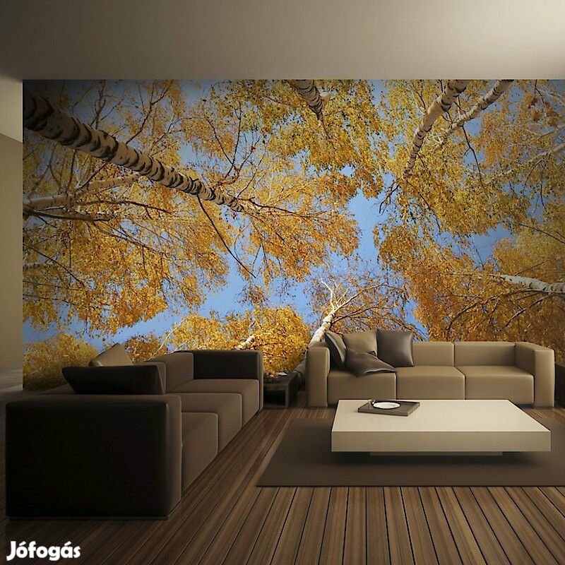 Fotótapéta - Hulló levelek alatt