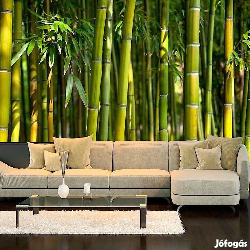 Fotótapéta - Keleti kert