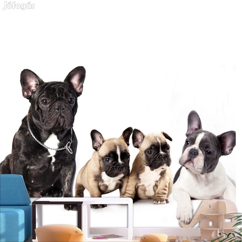 Fotótapéta - Kutya család