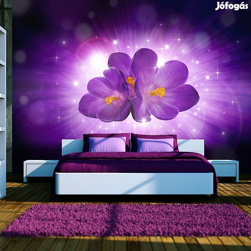 Fotótapéta - Lila fénysugár