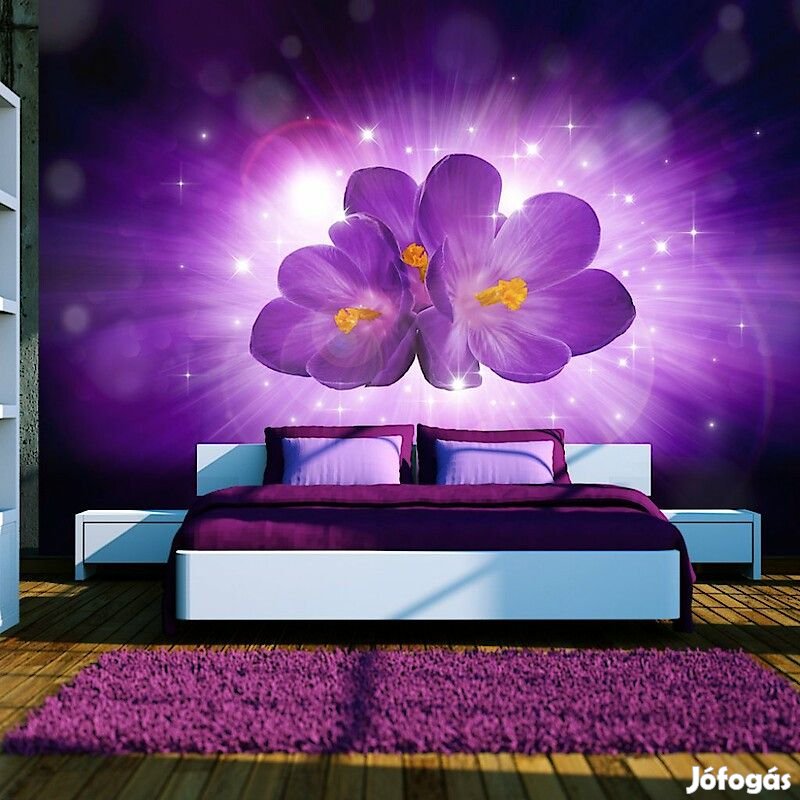 Fotótapéta - Lila fénysugár