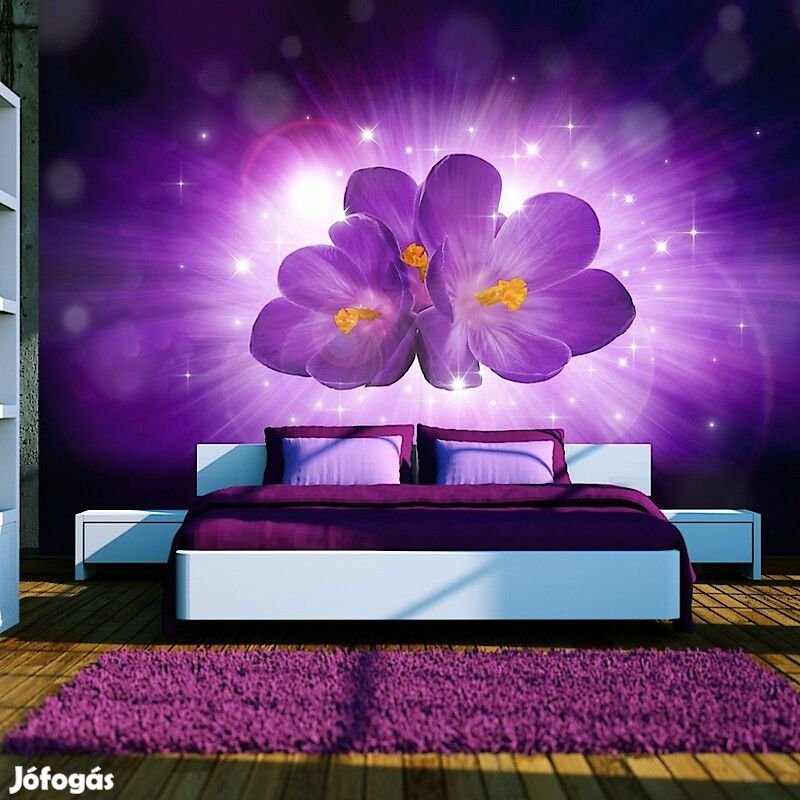 Fotótapéta - Lila fénysugár