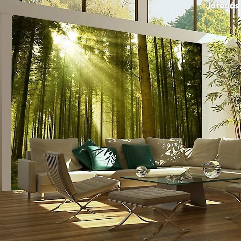 Fotótapéta - Magas fenyők közt