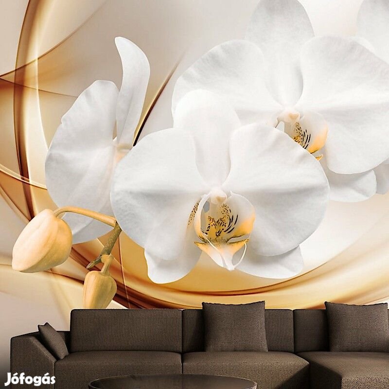 Fotótapéta - Megérint