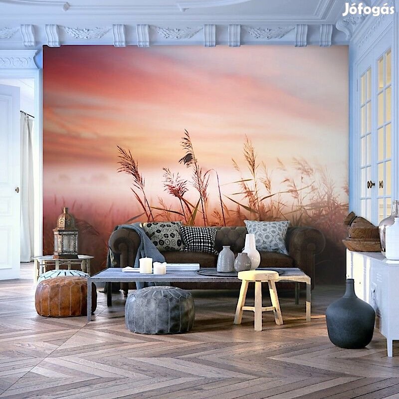 Fotótapéta - Napfelkelte a mezőn