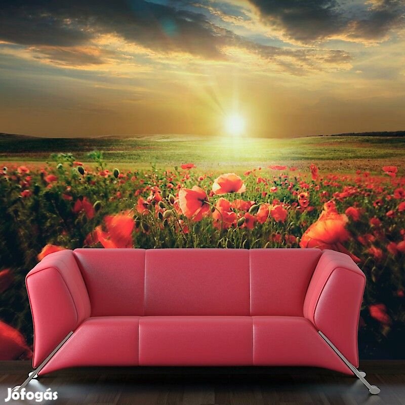 Fotótapéta - Napfelkelte a pipacsmezőn