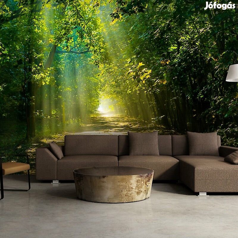 Fotótapéta - Napfény útja