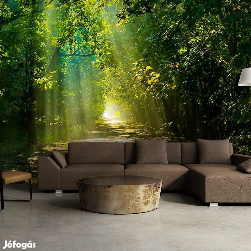 Fotótapéta - Napfény útja