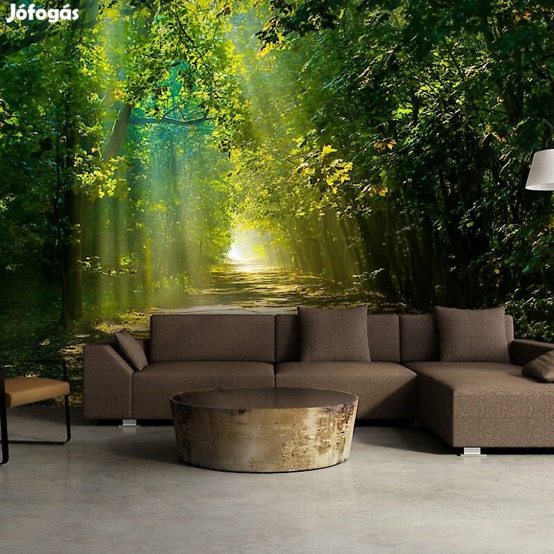 Fotótapéta - Napfény útja