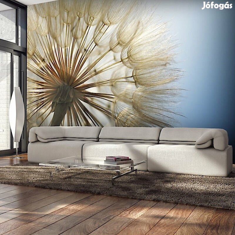 Fotótapéta - Napsütésben