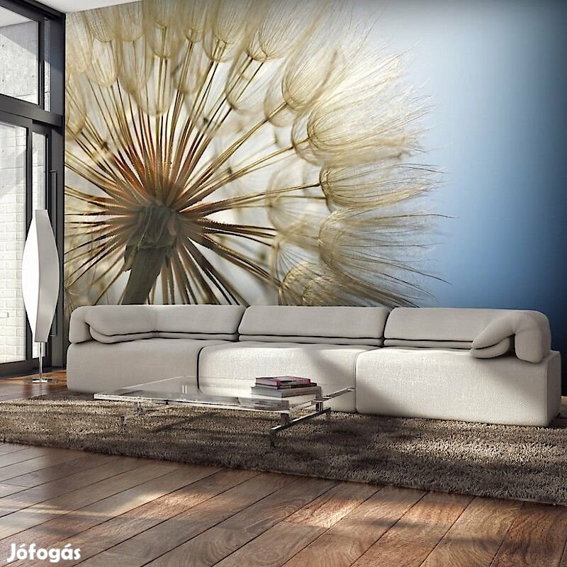 Fotótapéta - Napsütésben