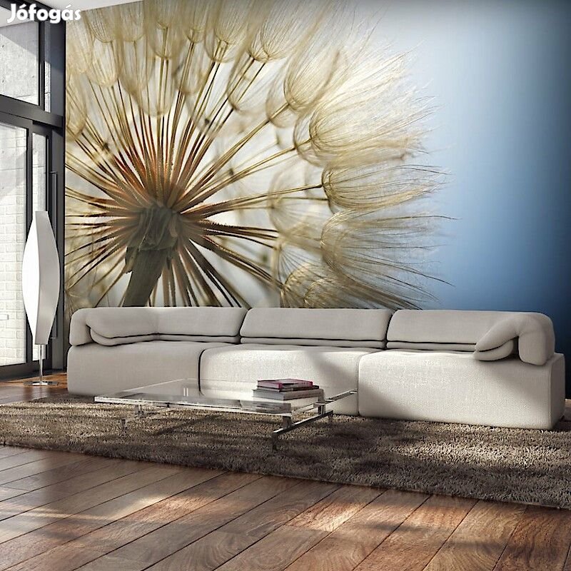 Fotótapéta - Napsütésben