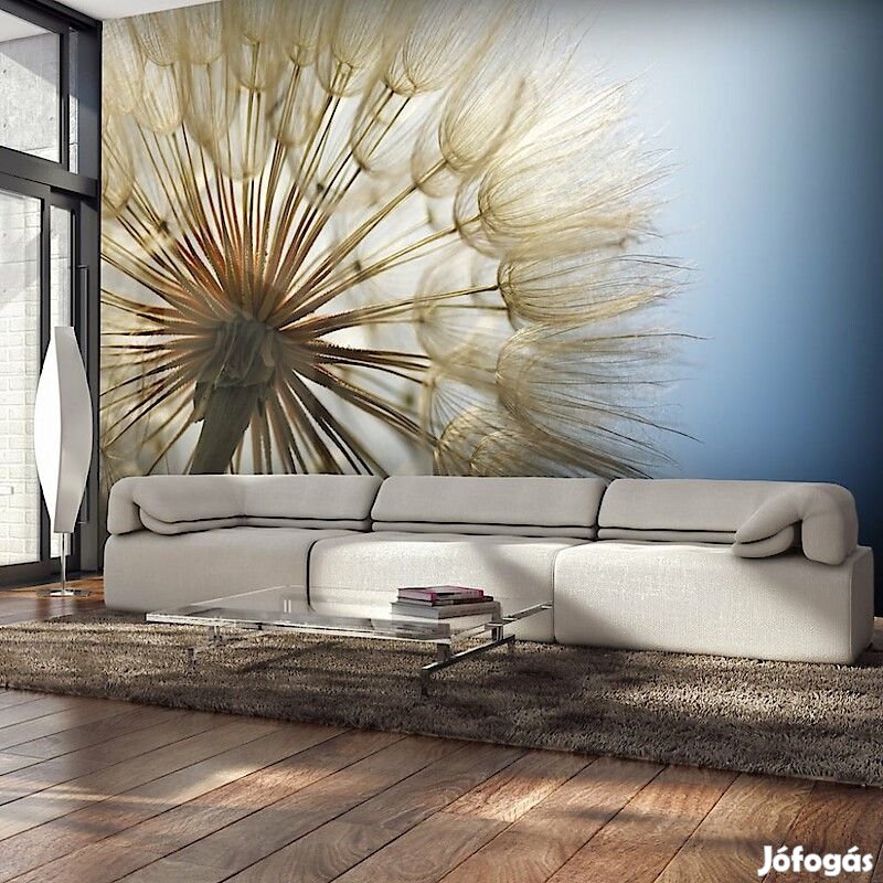 Fotótapéta - Napsütésben