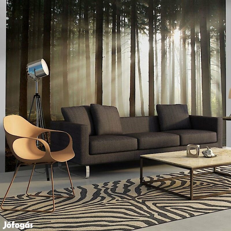 Fotótapéta - Napsütötte erdő