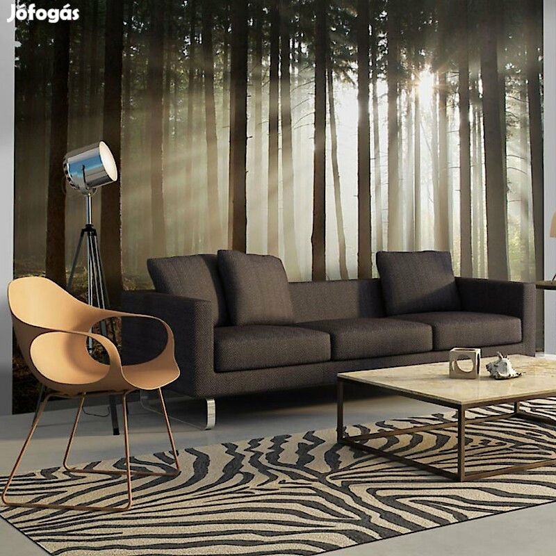 Fotótapéta - Napsütötte erdő