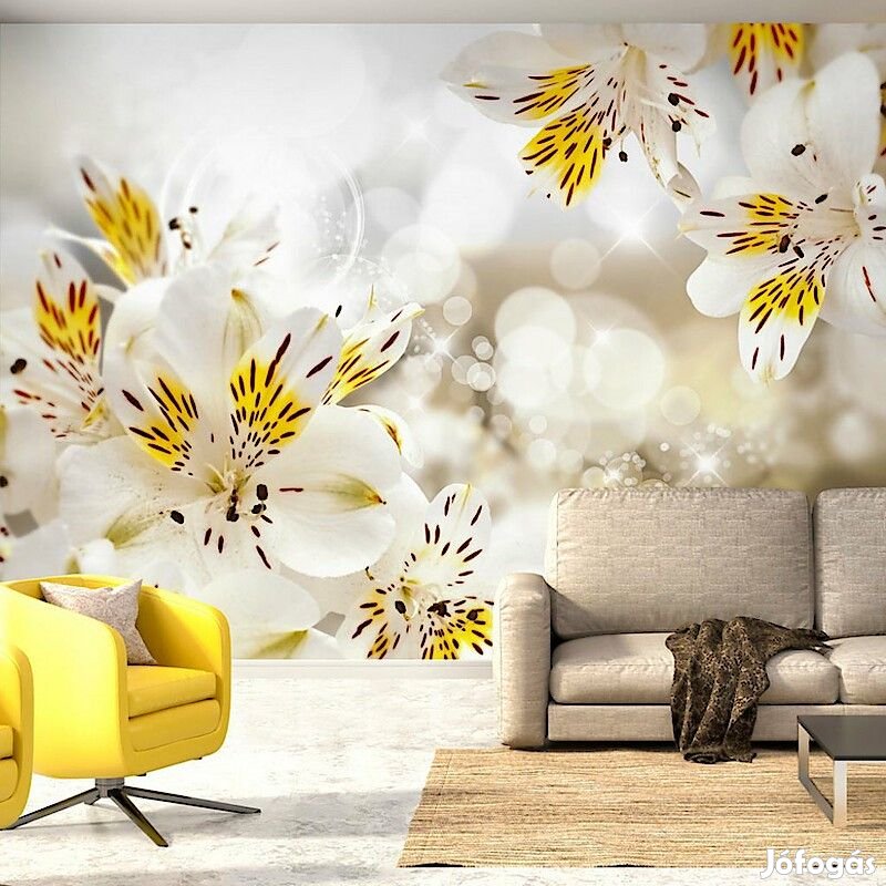 Fotótapéta - Nyári harmatcseppek