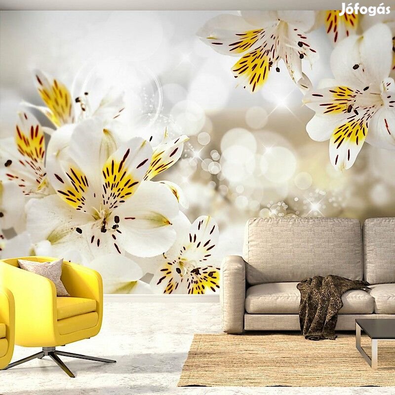 Fotótapéta - Nyári harmatcseppek