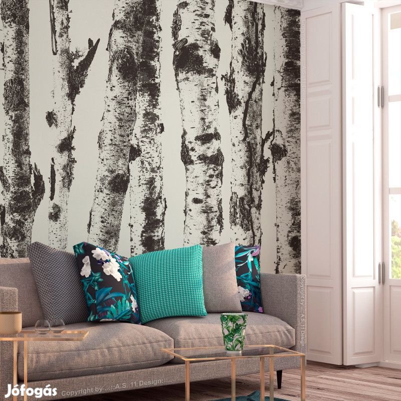 Fotótapéta - Nyírfa erdő 3