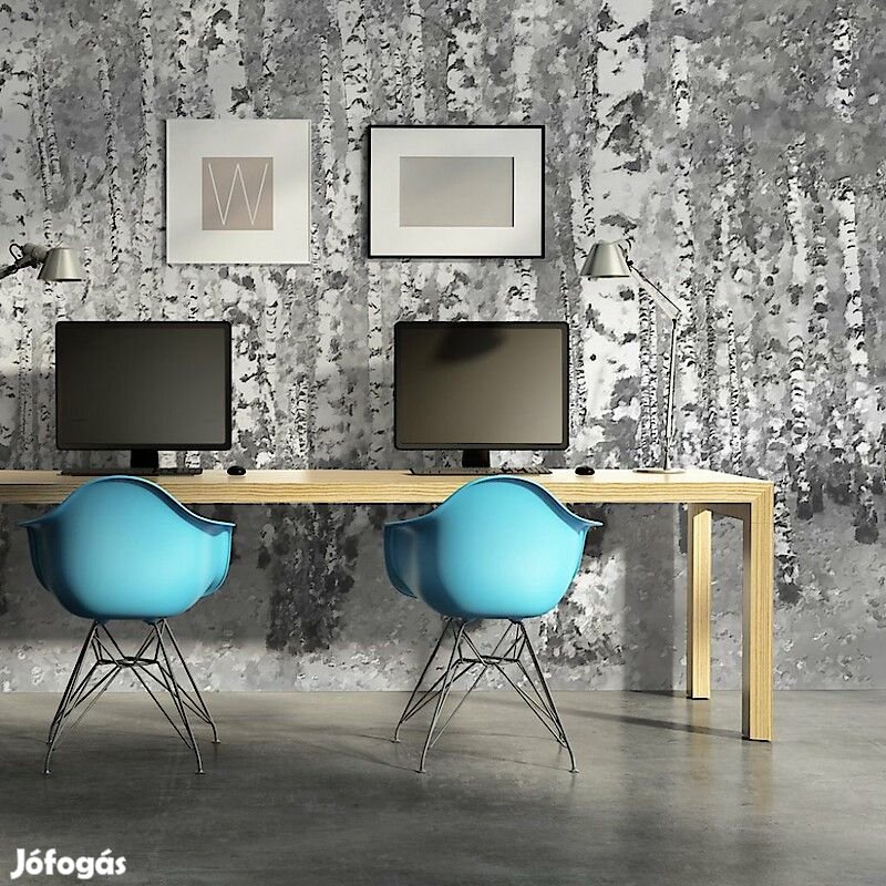 Fotótapéta - Nyírfa erdő 8