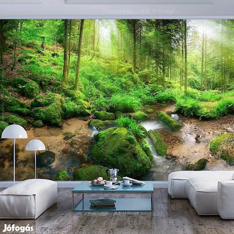 Fotótapéta - Nyirkos erdő
