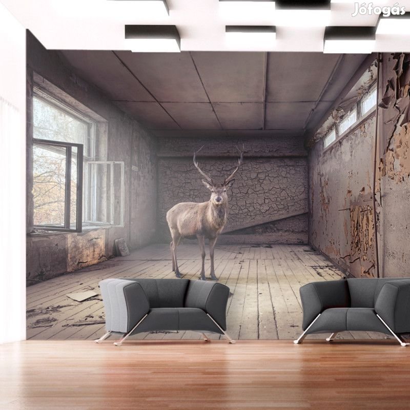 Fotótapéta - Ő meg kicsoda?