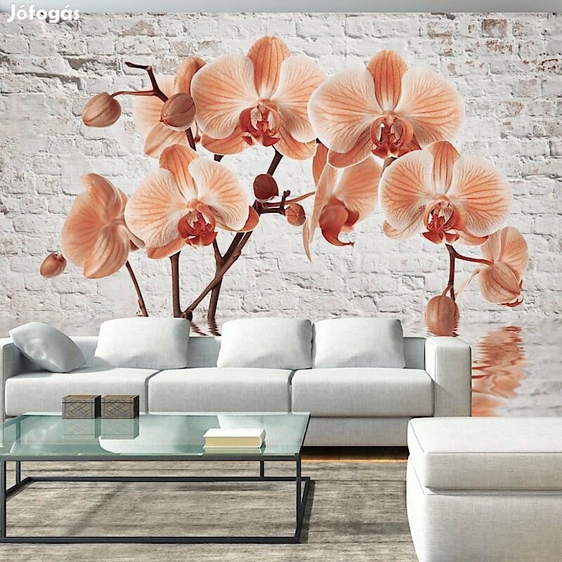 Fotótapéta - Orchideák árnyékában 1