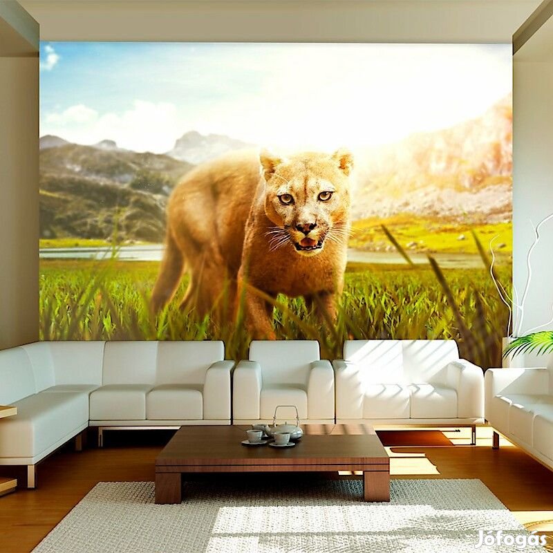 Fotótapéta - Oroszlán