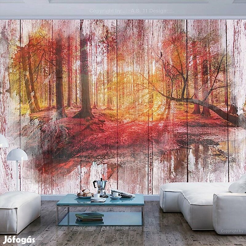 Fotótapéta - Őszi erdő