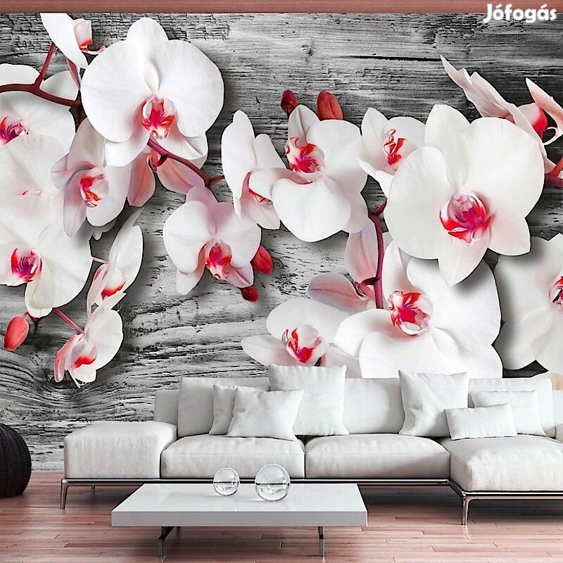 Fotótapéta - Piros, fehér harmónia