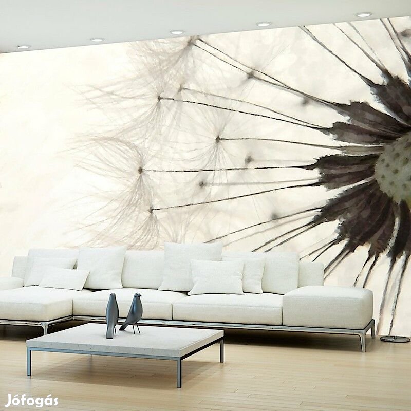 Fotótapéta - Pitypang ernyő