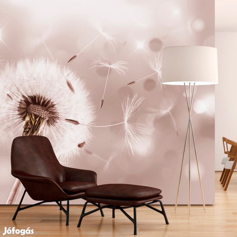 Fotótapéta - Pitypang kavalkád