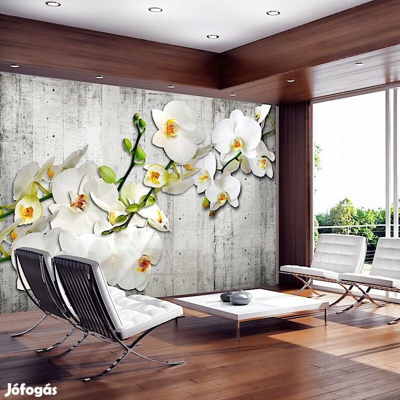 Fotótapéta - Régies hangulatban