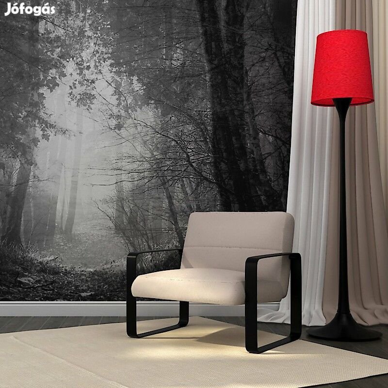 Fotótapéta - Rejtelmes erdő