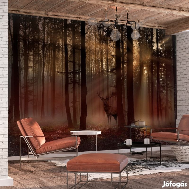 Fotótapéta - Rejtőzködő szarvas 1
