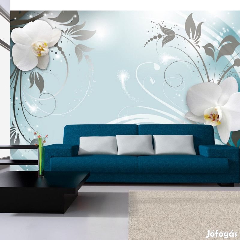 Fotótapéta - Reménykedő orchidea