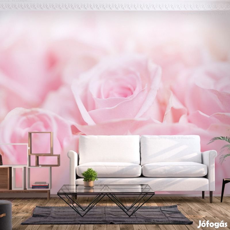 Fotótapéta - Rózsaszín rózsák
