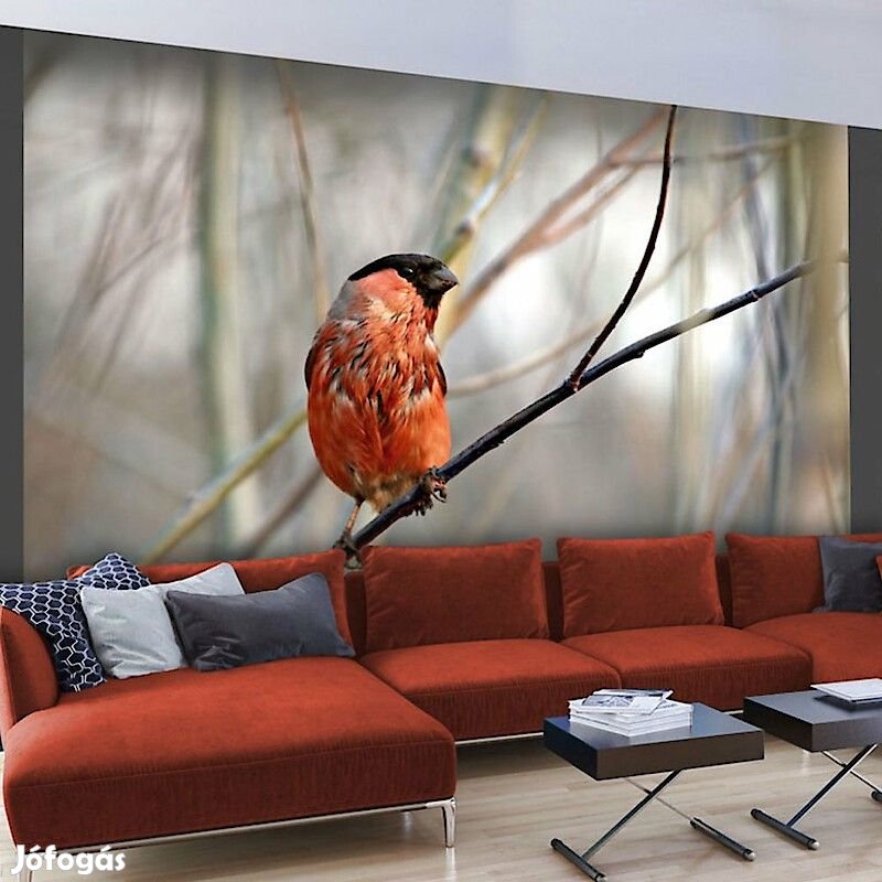 Fotótapéta - Süvöltő az erdőben